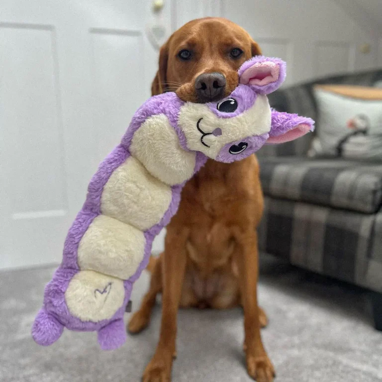 Dog playing with animal cuddly toy