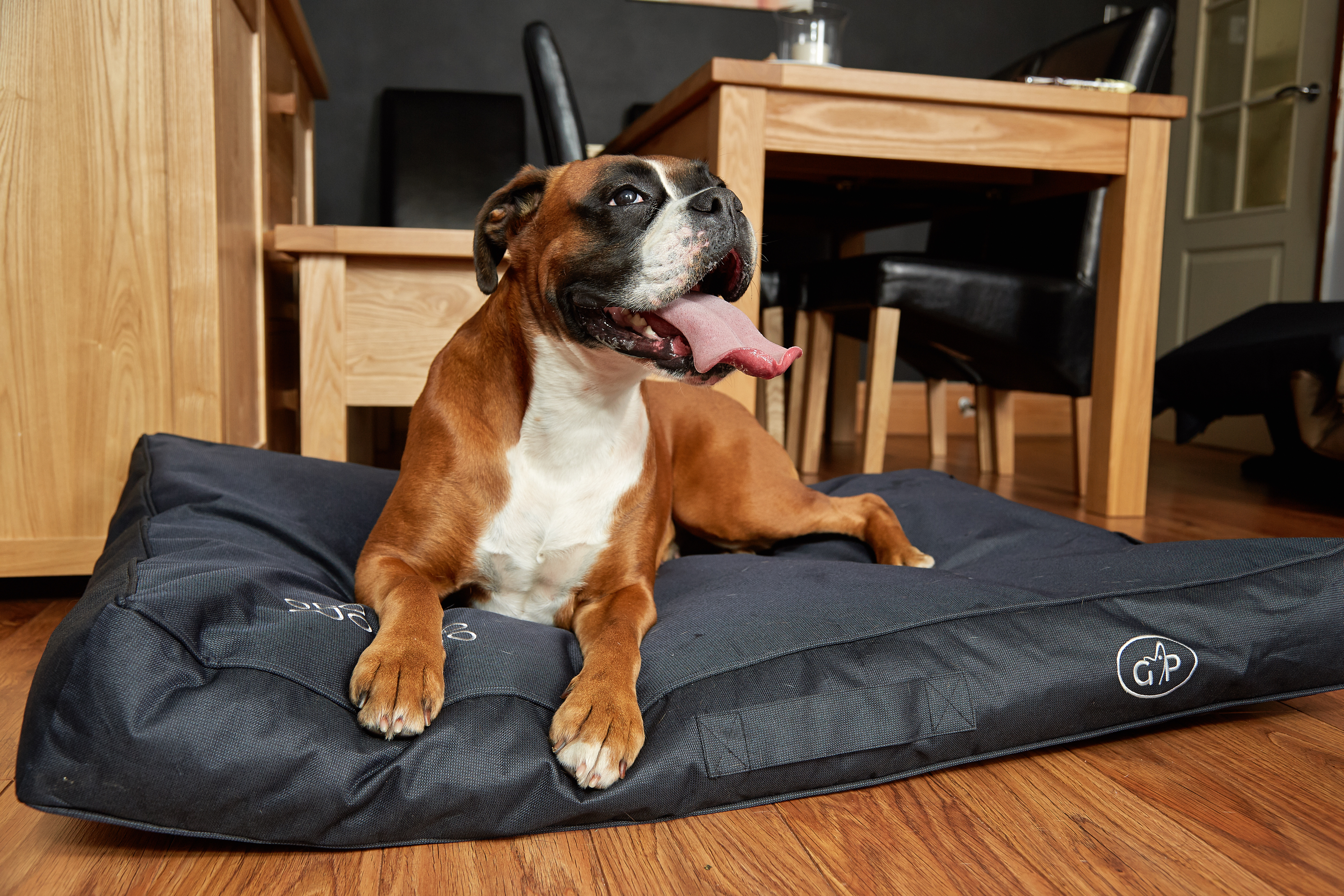pet bed mattress attachment